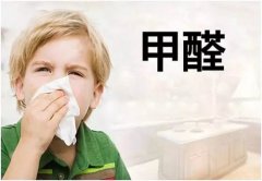 什么除甲醛最快最簡單??？